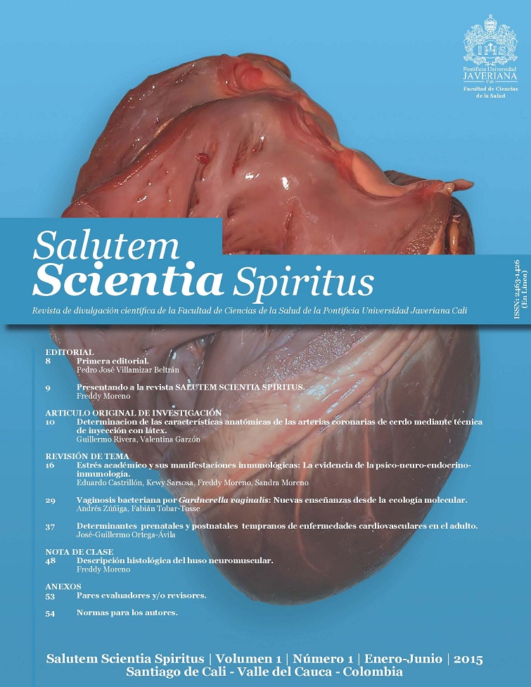 					Ver Vol. 1 Núm. 1 (2015): Revista Salutem Scientia Spiritus
				